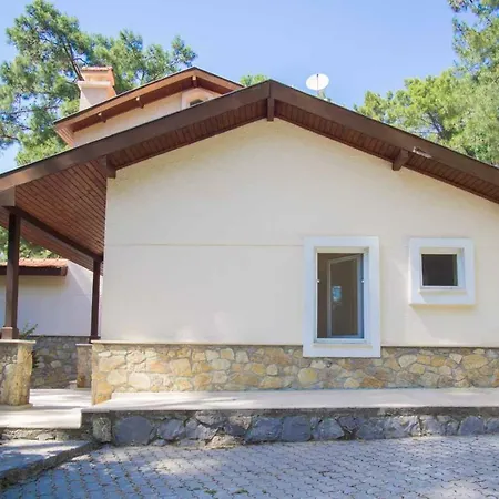 Vila Huge In Red Pine Forest